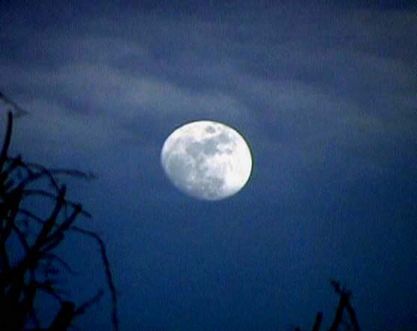 Waxingmoon20898