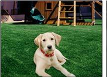 Fake_lawn_2