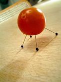 102251_lost_tomato_2