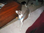 New_blog_shots_020