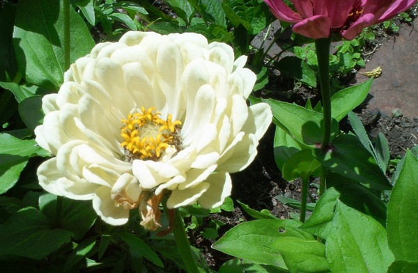 Joc_bob_photos_043