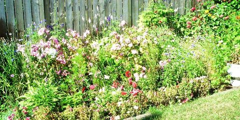 Photos_jardin_et_commissions_005