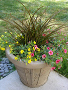 822615575_9a69d8fddd_m
