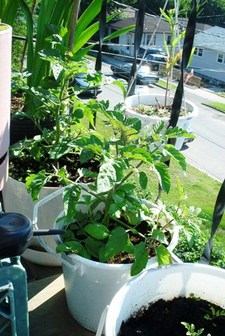 Joc_bob_photos_052