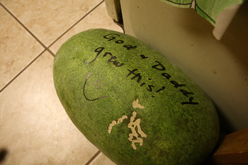 Theogeo_watermelon