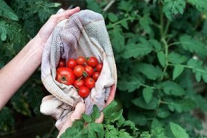 228626689_b8a084994b_z